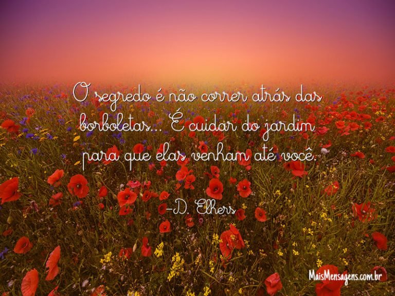 O Segredo Não é Correr Atrás Das Borboletas