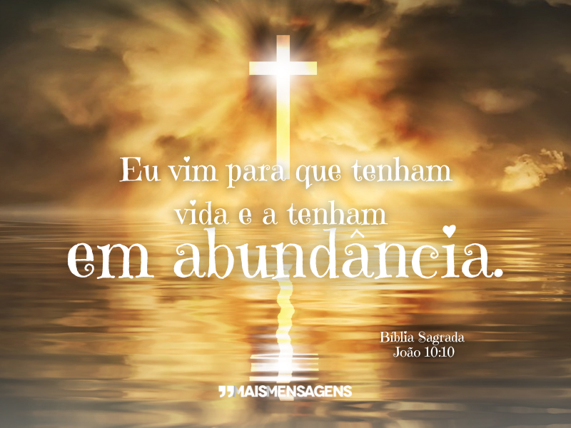 Eu vim para que tenham vida e a tenham em abundância. Bíblia Sagrada - João 10:10