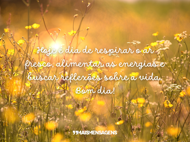 Hoje é dia de respirar o ar fresco, alimentar as energias e buscar reflexões sobre a vida. Bom dia!