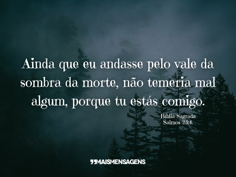 Ainda que eu andasse pelo vale da sombra da morte, não temeria mal algum, porque tu estás comigo. - Bíblia Sagrada Salmos 23:4.