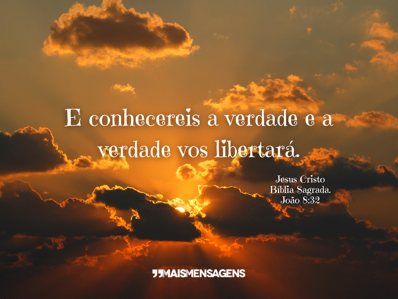 E conhecereis a verdade e a verdade vos libertará. - Jesus Cristo Bíblia Sagrada. João 8:32