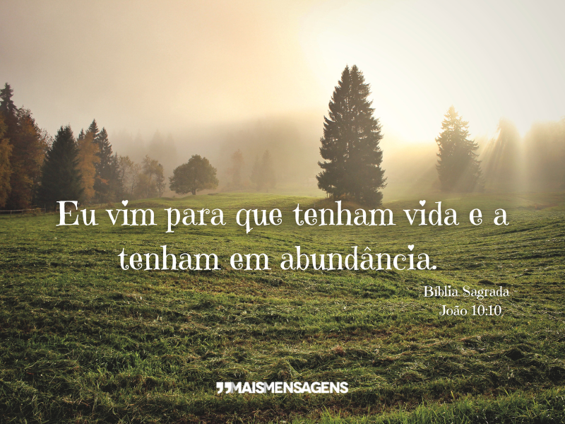 Eu vim para que tenham vida e a tenham em abundância. Bíblia Sagrada - João 10:10