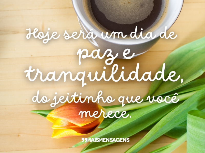 Hoje será um dia de paz e tranquilidade, do jeitinho que você merece.