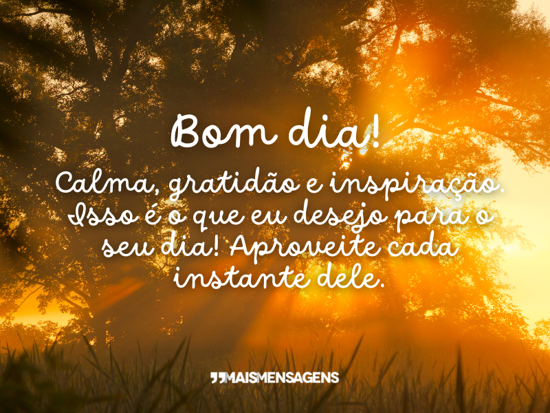 Bom dia! Calma, gratidão e inspiração. Isso é o que eu desejo para o seu dia! Aproveite cada instante dele.