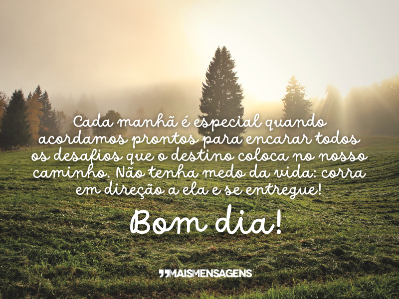 Cada manhã é especial quando acordamos prontos para encarar todos os desafios que o destino coloca no nosso caminho. Não tenha medo da vida: corra em direção a ela e se entregue! Bom dia!