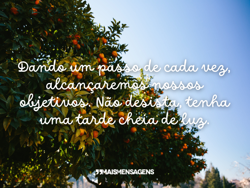 Dando um passo de cada vez, alcançaremos nossos objetivos. Não desista, tenha uma tarde cheia de luz.