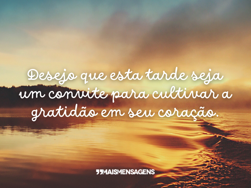 Desejo que esta tarde seja um convite para cultivar a gratidão em seu coração.