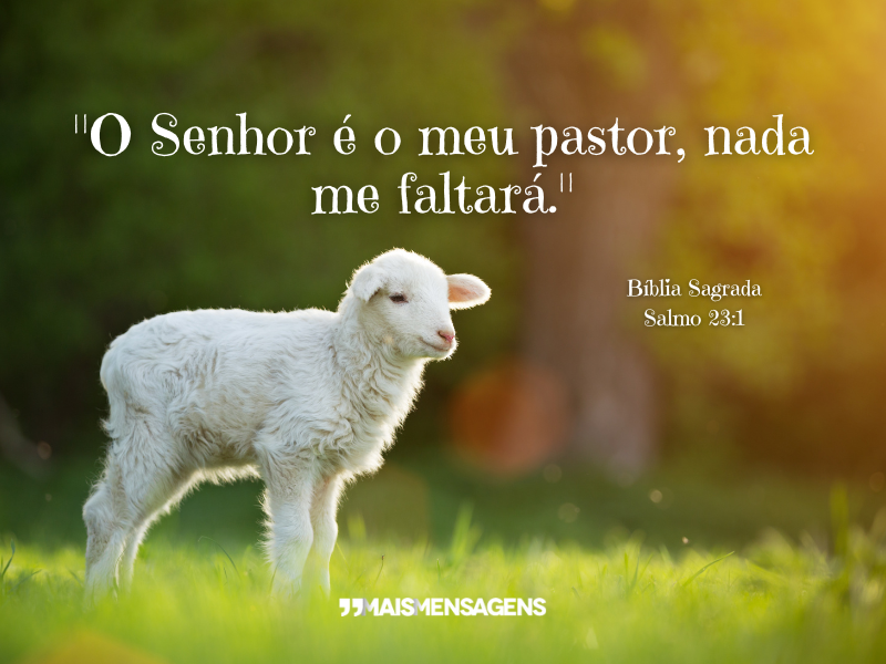 "O Senhor é o meu pastor, nada me faltará." — Salmo 23:1