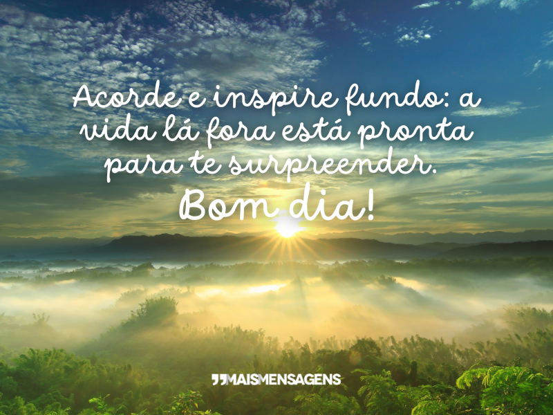 Acorde e inspire fundo: a vida lá fora está pronta para te surpreender. Bom dia!