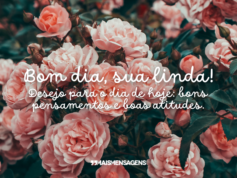 Bom dia, sua linda! Desejo para o dia de hoje: bons pensamentos e boas atitudes.