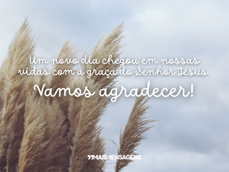 Um novo dia chegou em nossas vidas com a graça do Senhor Jesus. Vamos agradecer!