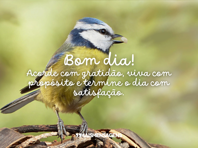 Bom dia! Acorde com gratidão, viva com propósito e termine o dia com satisfação.