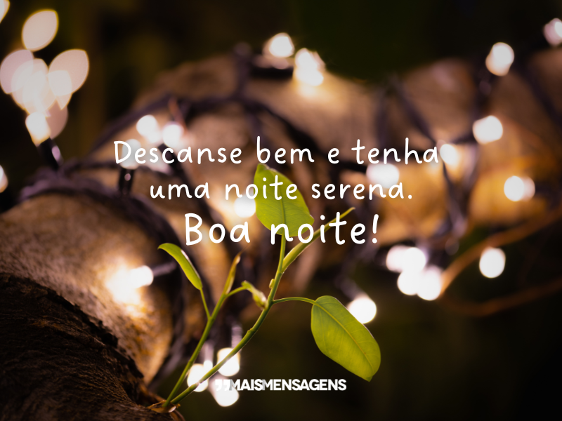 Descanse bem e tenha uma noite serena. Boa noite!