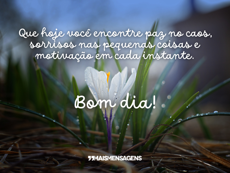 Que hoje você encontre paz no caos, sorrisos nas pequenas coisas e motivação em cada instante. Bom dia!