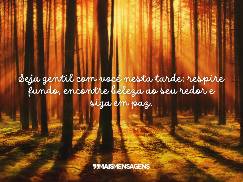 Seja gentil com você nesta tarde: respire fundo, encontre beleza ao seu redor e siga em paz.