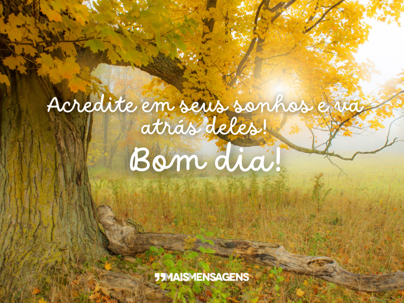 Acredite em seus sonhos e vá atrás deles! Bom dia!