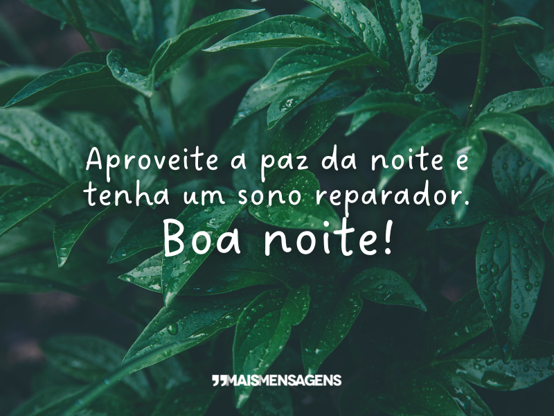 Aproveite a paz da noite e tenha um sono reparador. Boa noite!