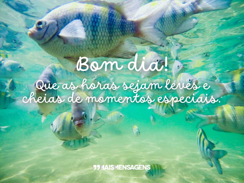 Bom dia! Que as horas sejam leves e cheias de momentos especiais.