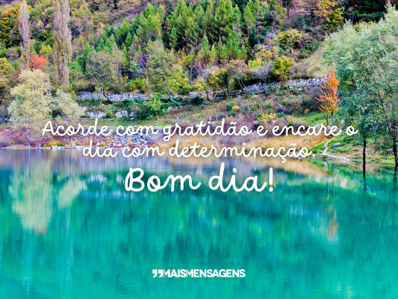 Acorde com gratidão e encare o dia com determinação. Bom dia!